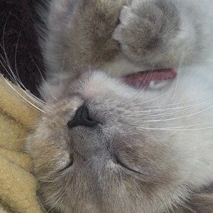 Meet your Posher, Mandy